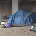 Understanding the Demographics of Homelessness in Travis County, Texas